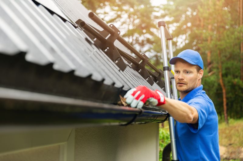 Gutter & Roof Maintenance